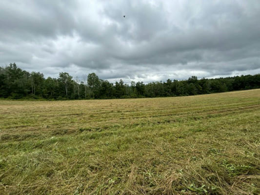 00 BROWNTOWN ROAD LOT 3, LINDLEY, NY 14858 - Image 1