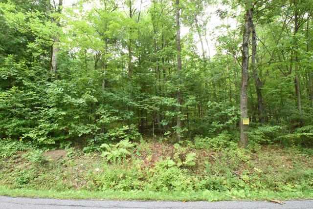 LOT 12 HIBBARD ROAD, HORSEHEADS, NY 14845, photo 1